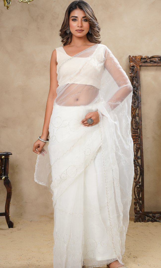 Beige Cutdana Circles With Sequence Bead Hightlight Saree